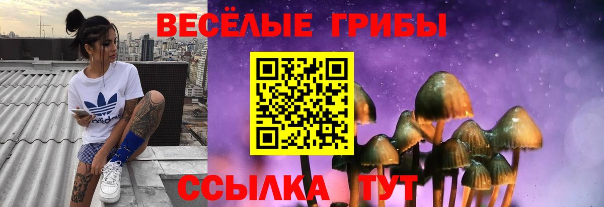 Галлюциногенные грибы ЛСД Орск